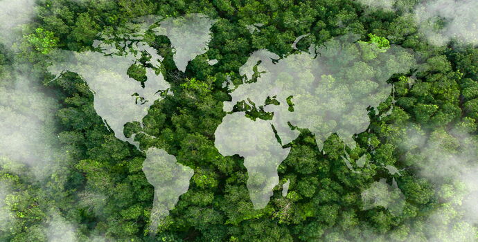 Emissionsrichtlinien - Grafik der Weltkarte über einem Wald