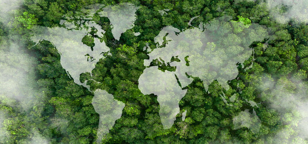 Emissionsrichtlinien - Grafik der Weltkarte über einem Wald